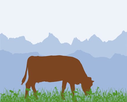 Cow on Alpine pasture