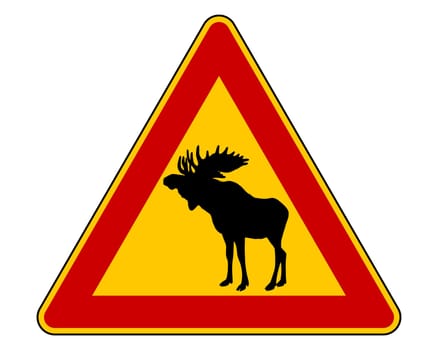 Attention moose