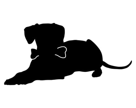 Dog with bone