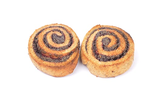 Poppy snails