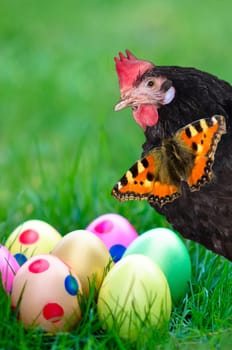 Easter eggs with hen and butterfly