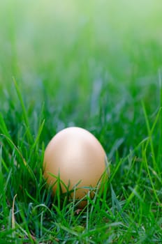 golden Easter egg