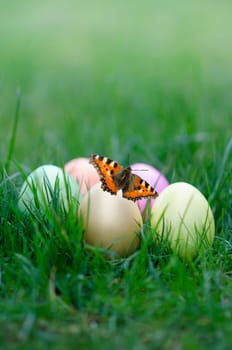 Easter eggs with butterfly