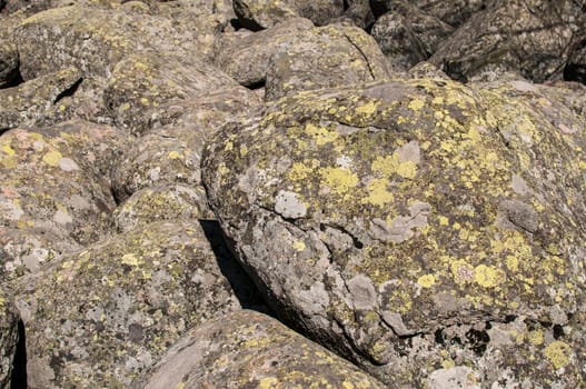 Old moraine rocks with moss closeup as background