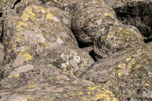 Old moraine rocks with moss closeup as background