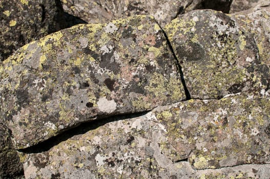 Old moraine rocks with moss closeup as background