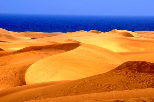An Orange Sand Desert in Gran Canaria Island, Spain