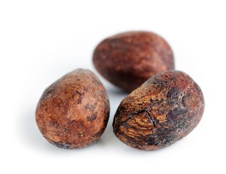 Raw unprocessed shea nuts isolated on white background
