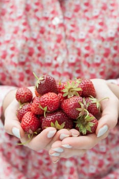 Closeup of female hands holding freshly picked strawberries with copy space