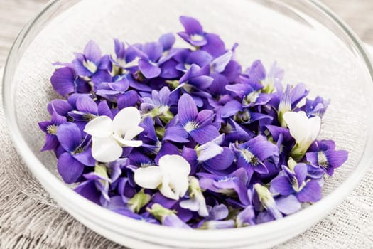 Foraged edible purple and white violet flowers in bowl
