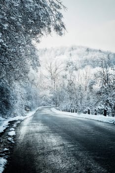 Icy winter road leading downhill through forest