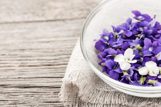 Foraged edible purple and white violet flowers in bowl on wood background with copy space