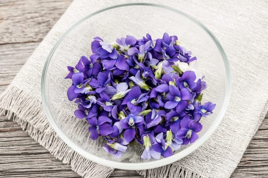 Foraged edible purple and white violet flowers in bowl