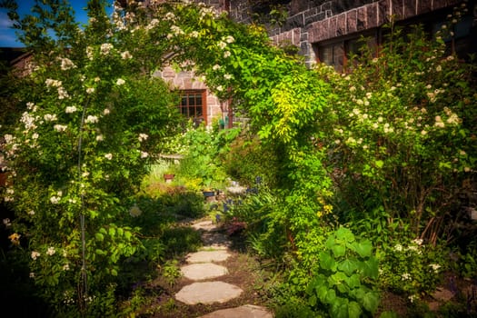 Summer garden with paved path and trellis