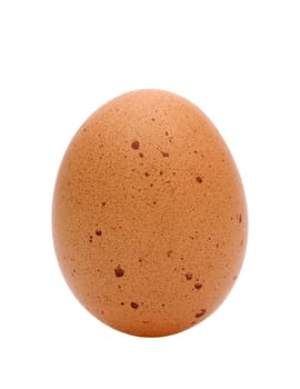 brown egg isolated on white background
