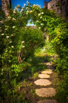 Summer garden with paved path and trellis