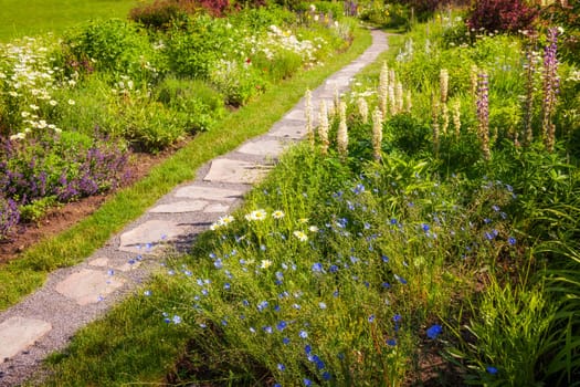 Summer garden with paved path and blooming wildflowers