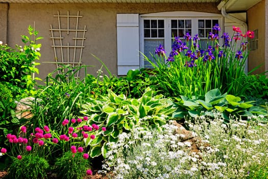 Residential landscaped garden with flowers and plants