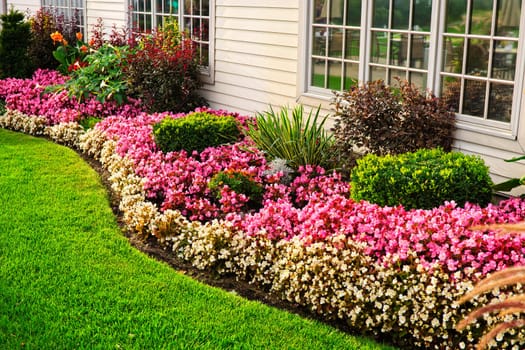 Flowerbed of colorful flowers against wall with windows