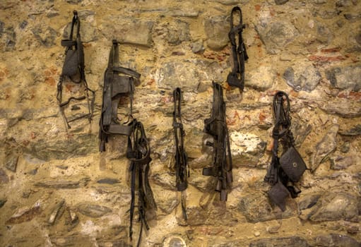 Vintage horse equipment on stone wall  in an old barn tack room on a rural farm