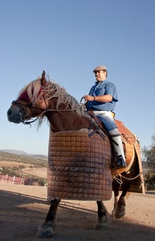 Training bullfight day in order to select animals for breed braves .fighting bulls