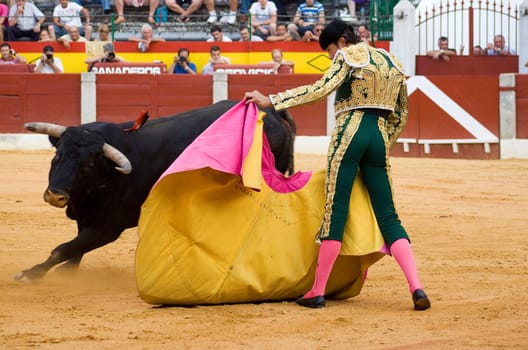 ALMENDRALEJO, SPAIN, AUGUST 15
