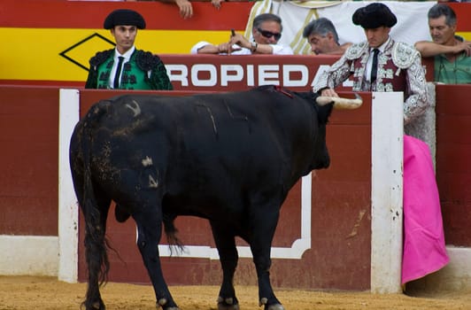 ALMENDRALEJO, SPAIN, AUGUST 15