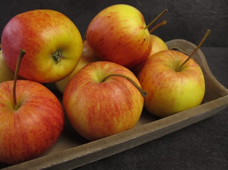 Small Apples Tenroy Gala Royal