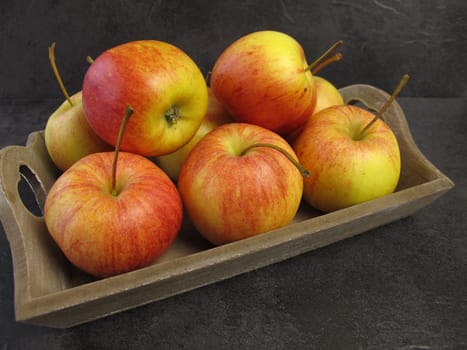 Small Apples Tenroy Gala Royal