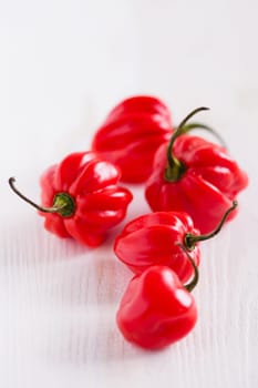 Closeup of bunch of five round shaped red chili peppers on light surface