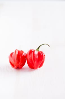 Closeup of two round shaped red chili peppers on light surface