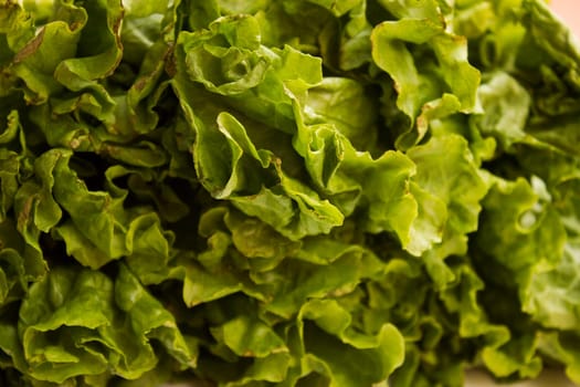 Green lettuce detailed photo close up.
