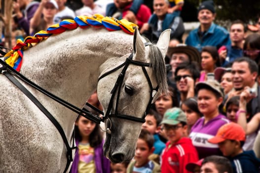BOGOTA, COLOMBIA - JULY 20