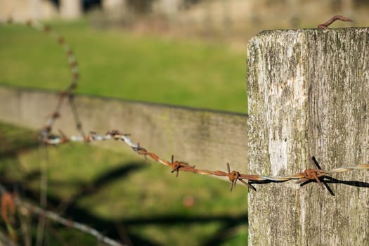 rusty barbed wire on wooden fence