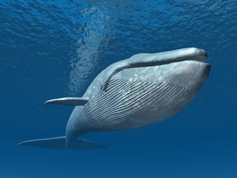 Computer-generated 3D illustration with a blue whale