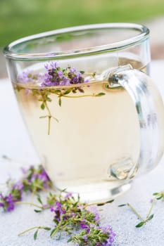 Cup of herbal thyme tea with fresh herb flowers