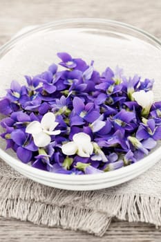 Foraged edible purple and white violet flowers in bowl