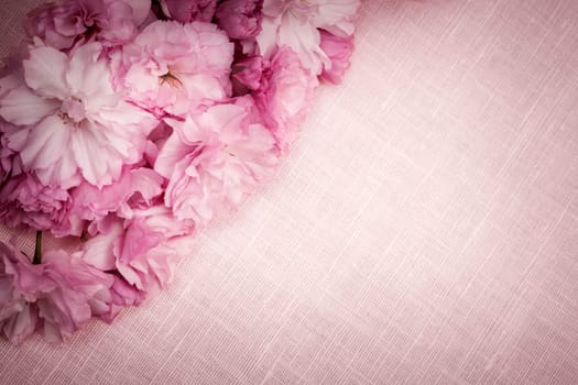 Pink linen fabric background with cherry blossoms