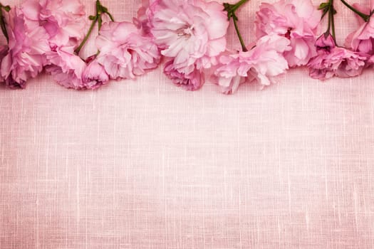 Border of pink cherry blossoms row with linen background