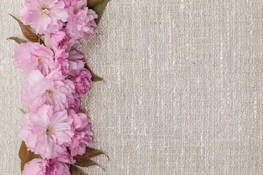 Border of pink cherry blossoms row on natural rustic linen background
