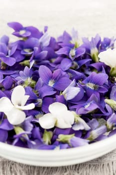 Foraged edible purple and white violet flowers in bowl closeup