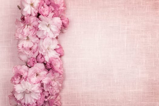 Border of pink cherry blossoms row with linen background