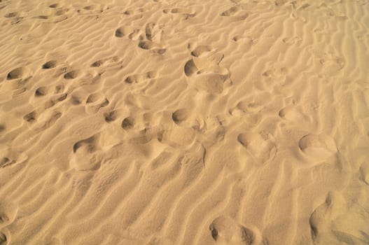 Texture Sand Dune Desert in Gran Canaria Island Spain