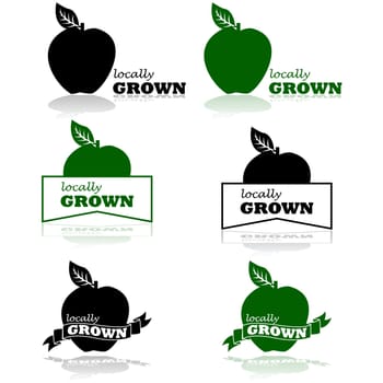 Concept illustration showing an apple and the words Locally Grown