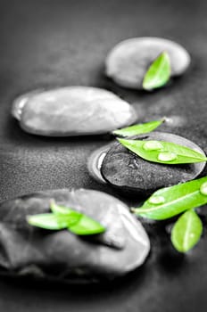 Black and white zen stones submerged in water with color accented green leaves