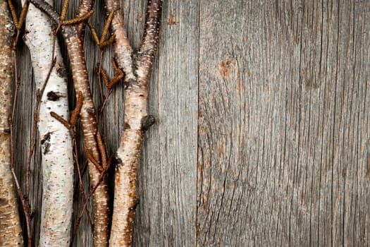 Birch tree trunks and branches on natural wood background with copy space