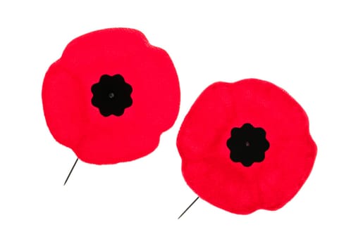 Two red poppy lapel pins for Remembrance Day