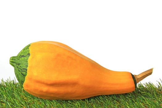Ornamental pumpkin on green artificial turf against a white background