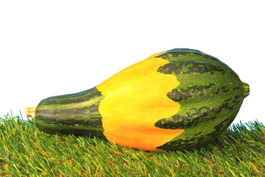 Ornamental pumpkin on green artificial turf against a white background