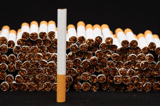 Close-up of Tobacco Cigarettes Background or texture